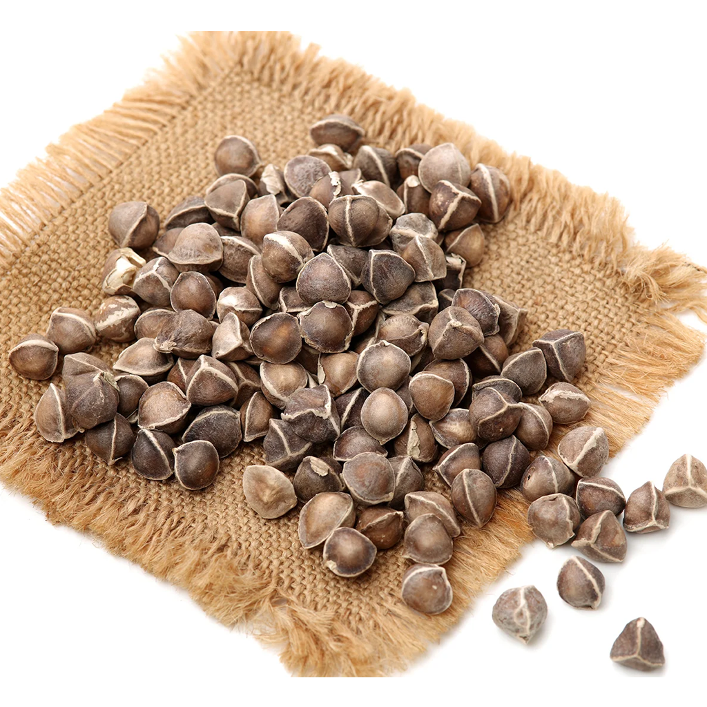 Moringa Seeds