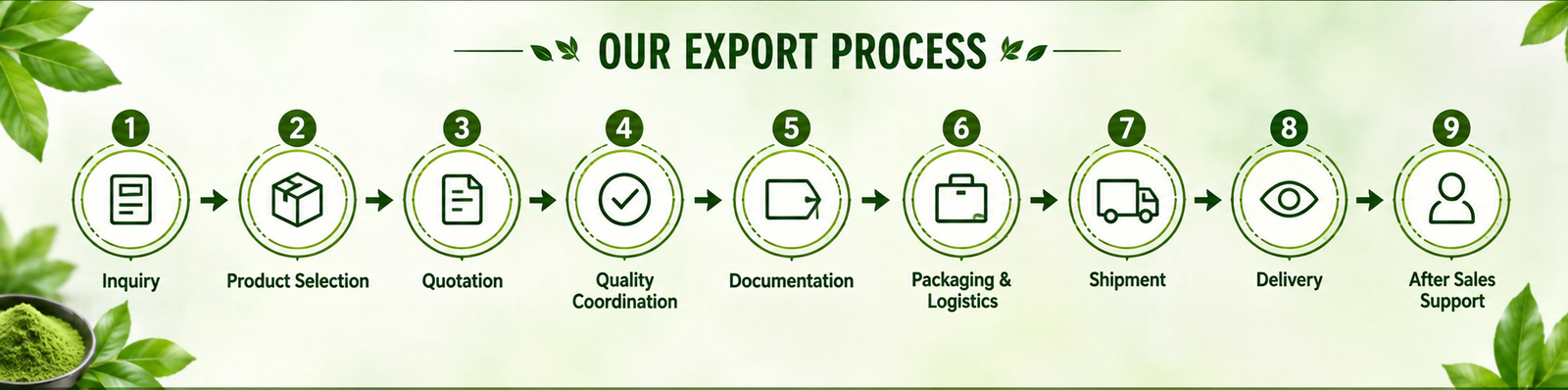 Our Export Process